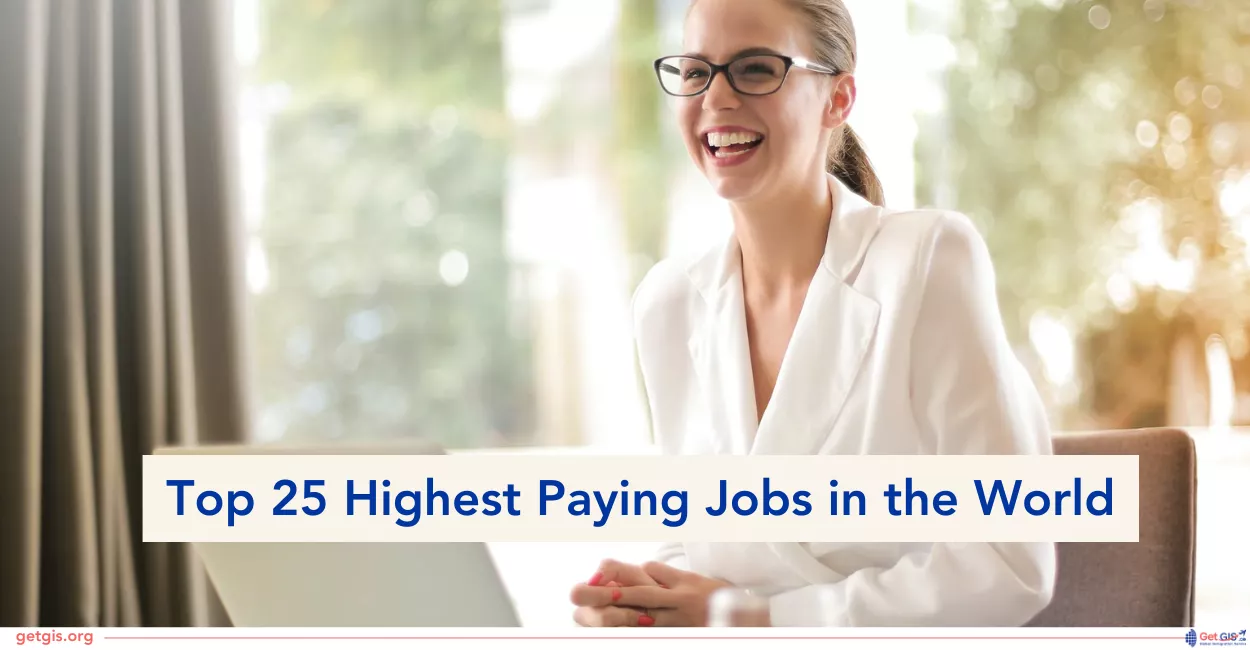 Top 25 Highest Paying Jobs in the World